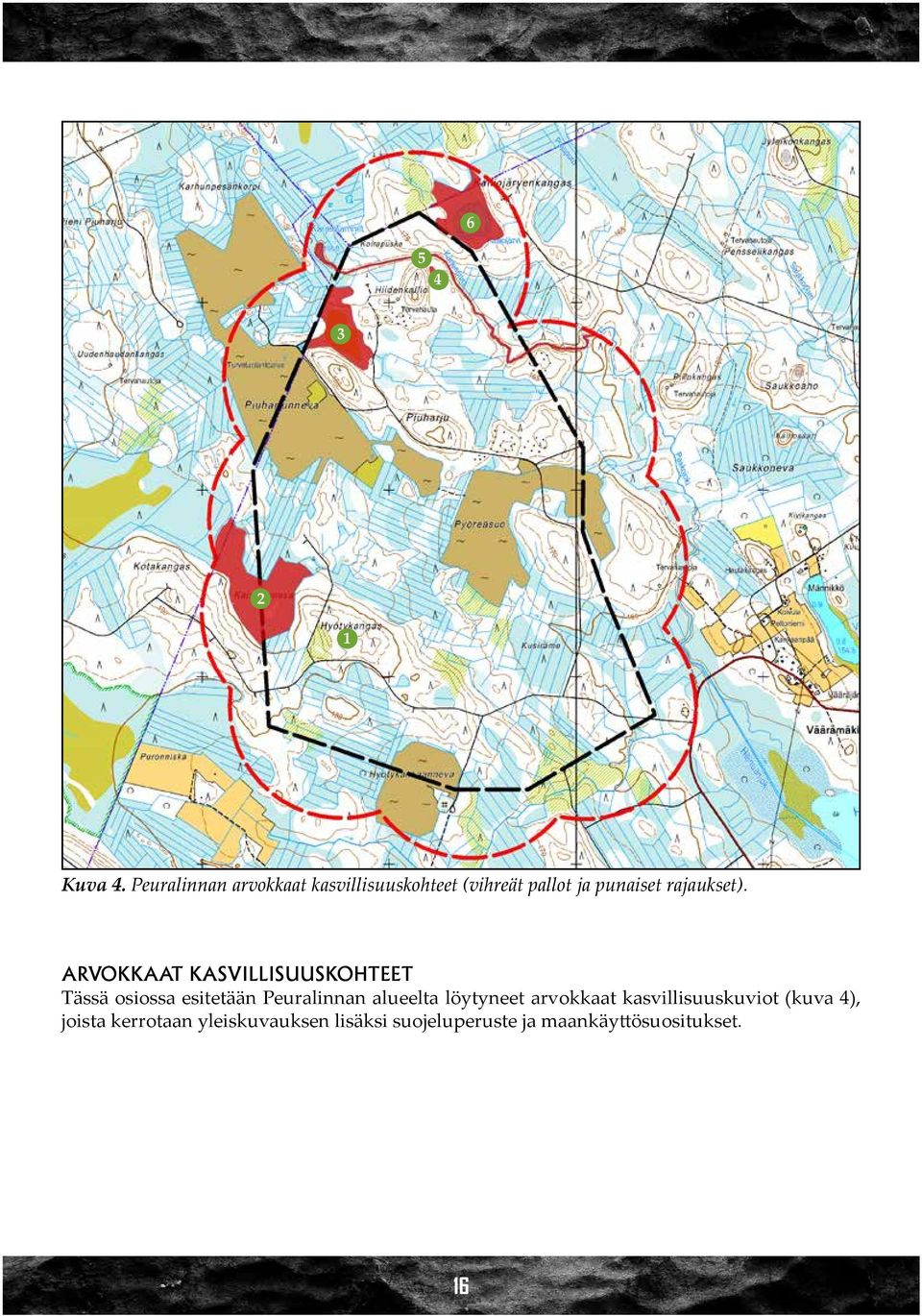 rajaukset).