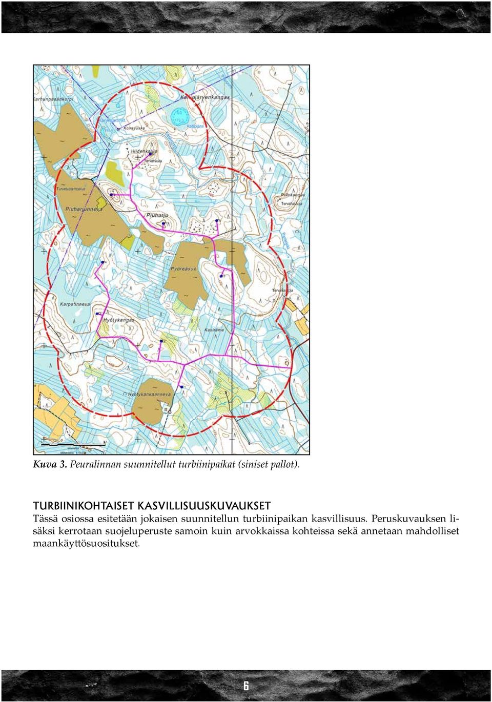 suunnitellun turbiinipaikan kasvillisuus.