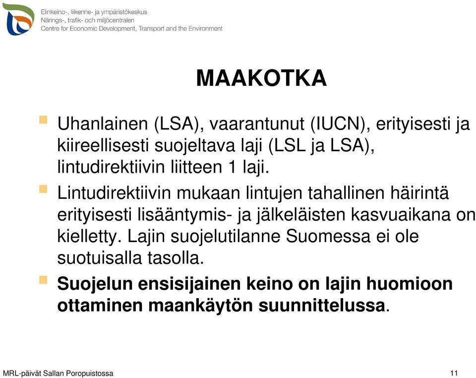 Lintudirektiivin mukaan lintujen tahallinen häirintä erityisesti lisääntymis- ja jälkeläisten