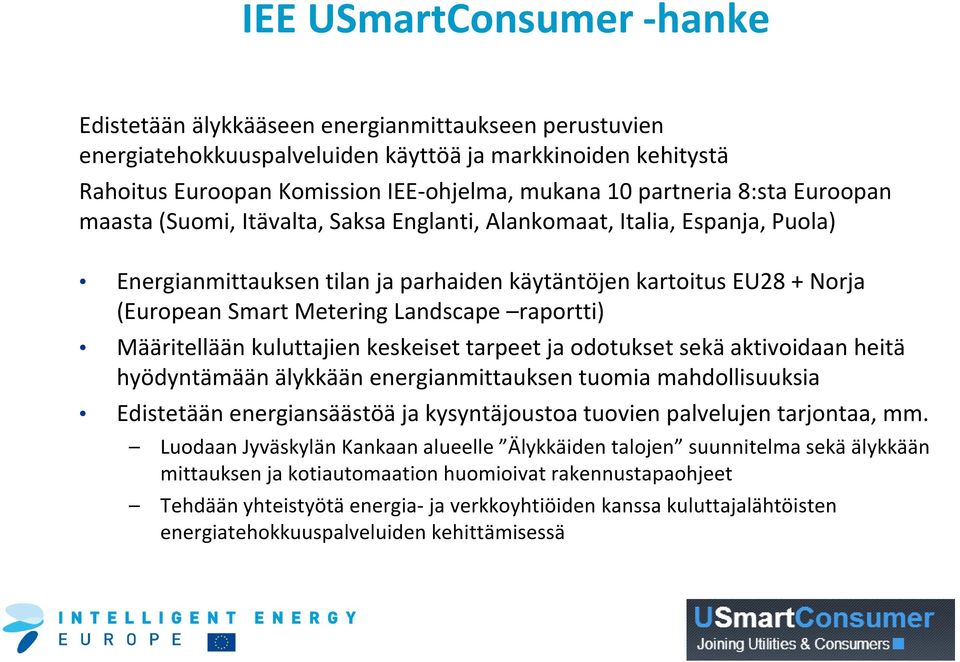 Landscape raportti) Määritellään kuluttajien keskeiset tarpeet ja odotukset sekä aktivoidaan heitä hyödyntämään älykkään energianmittauksen tuomia mahdollisuuksia Edistetään energiansäästöä ja