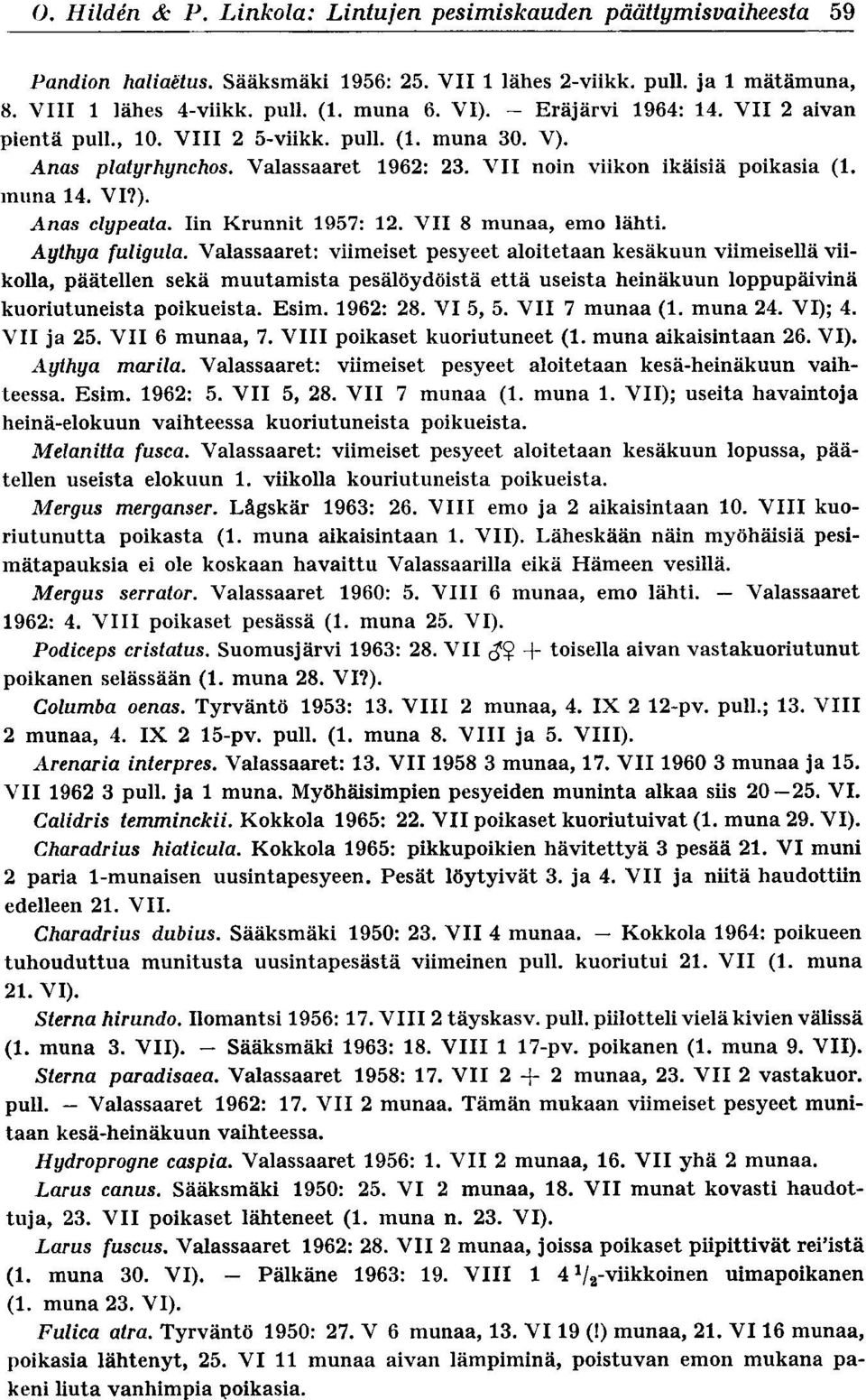 Iin Krunnit 1957 : 12. VII 8 munaa, emo lähti. Aythya fuligula.