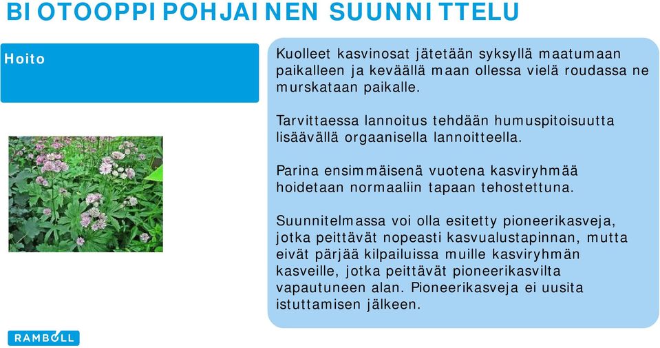 Parina ensimmäisenä vuotena kasviryhmää hoidetaan normaaliin tapaan tehostettuna.