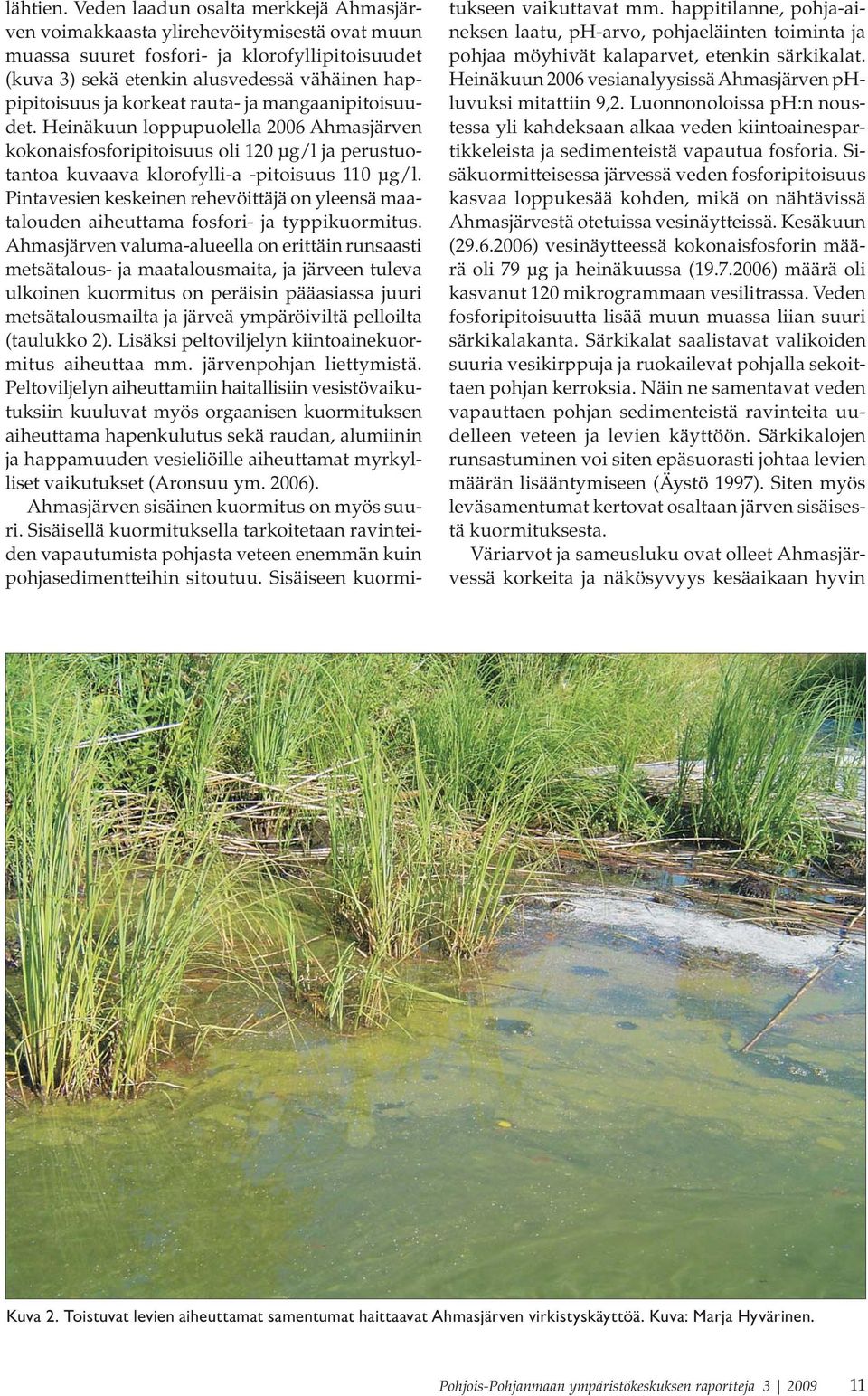 korkeat rauta- ja mangaanipitoisuudet. Heinäkuun loppupuolella 2006 Ahmasjärven kokonaisfosforipitoisuus oli 120 μg/l ja perustuotantoa kuvaava klorofylli-a -pitoisuus 110 μg/l.