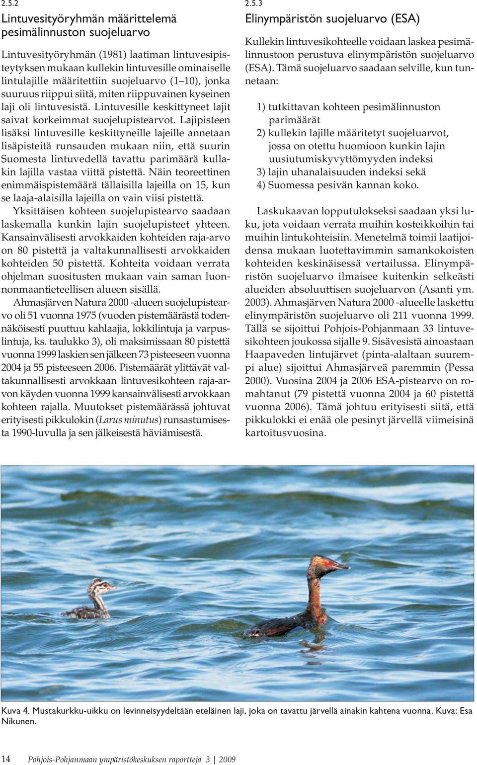 Lajipisteen lisäksi lintuvesille keskittyneille lajeille annetaan lisäpisteitä runsauden mukaan niin, että suurin Suomesta lintuvedellä tavattu parimäärä kullakin lajilla vastaa viittä pistettä.