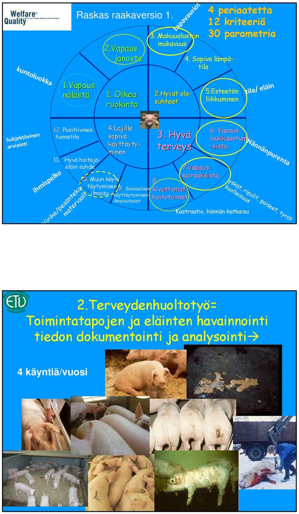 Muun käyttäytymisen 9. Sosiaalisen Kivuttomat ilmaisu käyttäytymisen hoitotoimet 8. ilmaisutavat Virike/pesäntekomateriaali 4.Lajille sopiva käyttäyty- minen 3. Hyvä terveys 6.