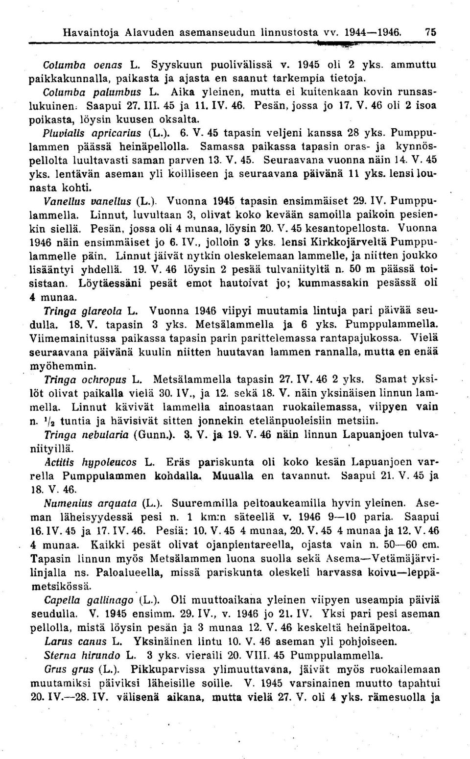 Pluvialis apricarius (L.). 6. V. 45 tapasin veljeni kanssa 28 yks. Pumppulammen päässä heinäpellolla. Samassa paikassa tapasin oras- ja kynnös pellolta luultavasti saman parven 13. V. 45. Seuraavana vuonna näin 14.