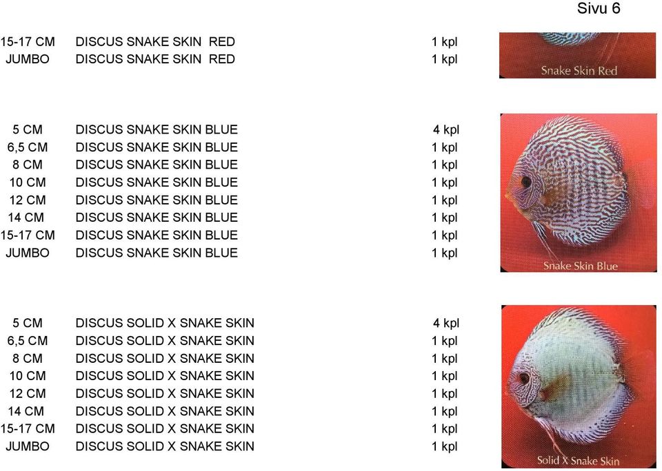 SOLID X SKIN SOLID X SKIN SOLID X SKIN SOLID X