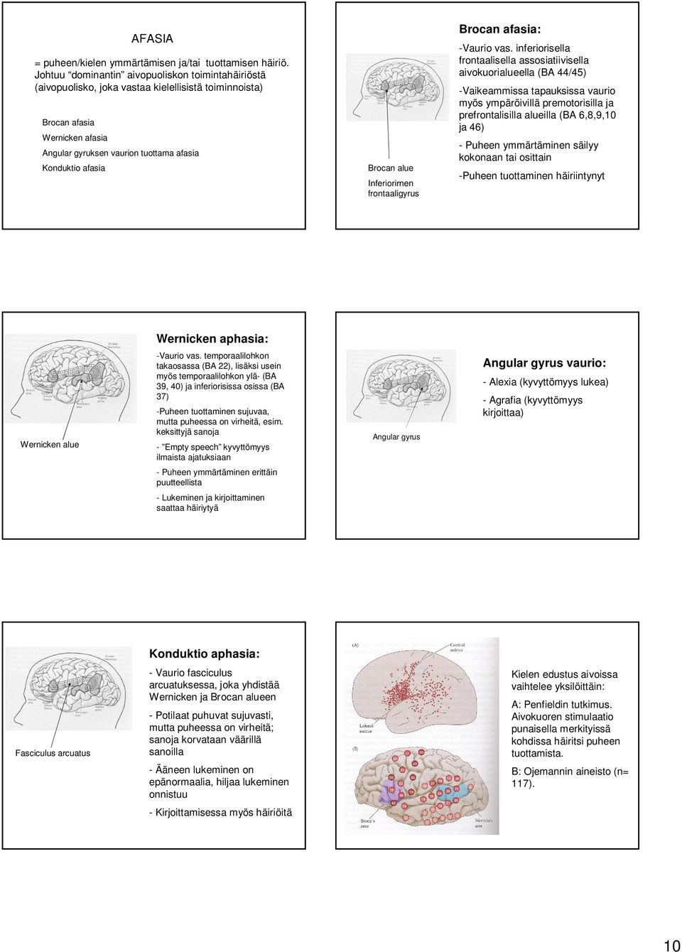 Brocan alue Inferiorirnen frontaaligyrus Brocan afasia: -Vaurio vas.