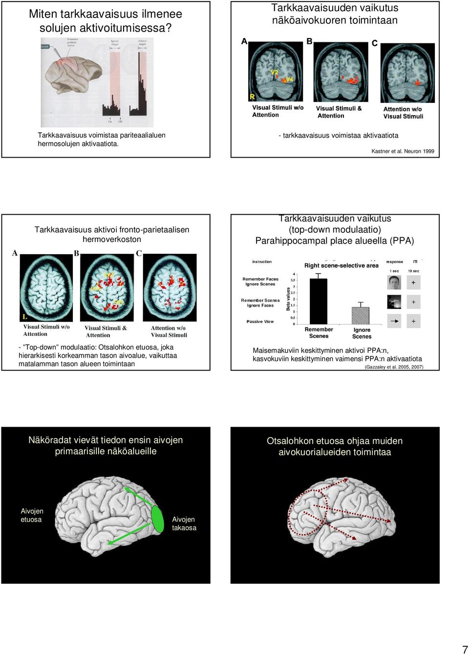 Neuron 1999 Tarkkaavaisuus aktivoi fronto-parietaalisen hermoverkoston Tarkkaavaisuuden vaikutus (top-down modulaatio) Parahippocampal place alueella (PPA) - Top-down modulaatio: Otsalohkon etuosa,