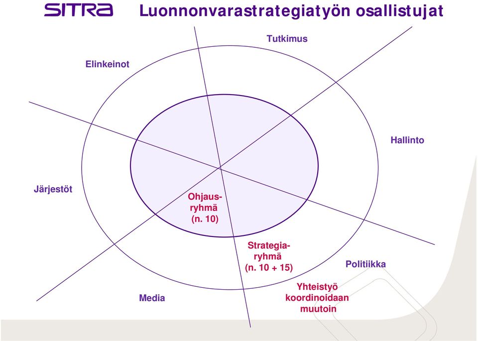 Ohjausryhmä (n. 10) Strategiaryhmä (n.