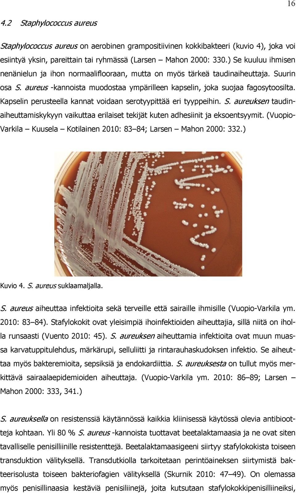 Kapselin perusteella kannat voidaan serotyypittää eri tyyppeihin. S. aureuksen taudinaiheuttamiskykyyn vaikuttaa erilaiset tekijät kuten adhesiinit ja eksoentsyymit.