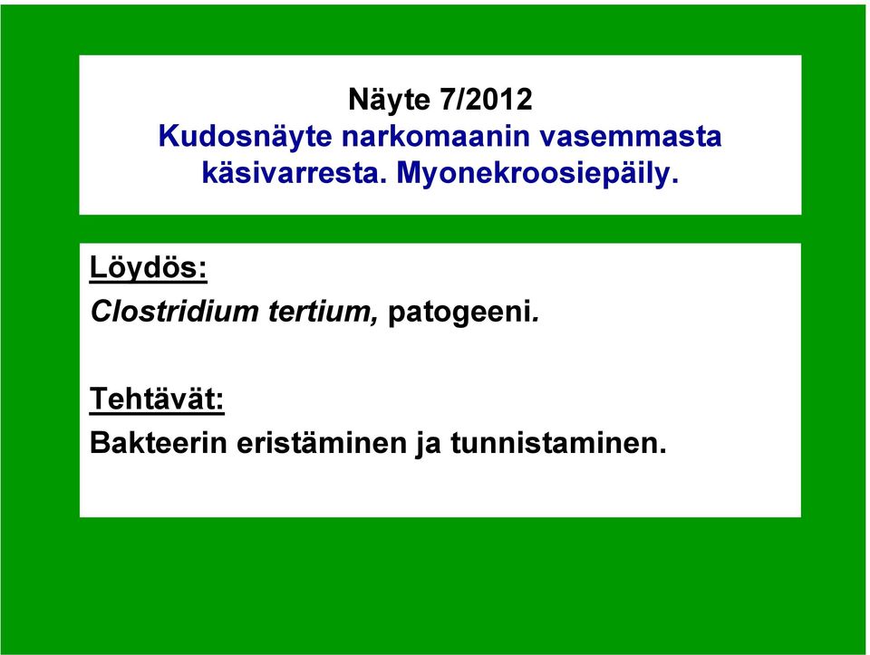 Löydös: Clostridium tertium, patogeeni.
