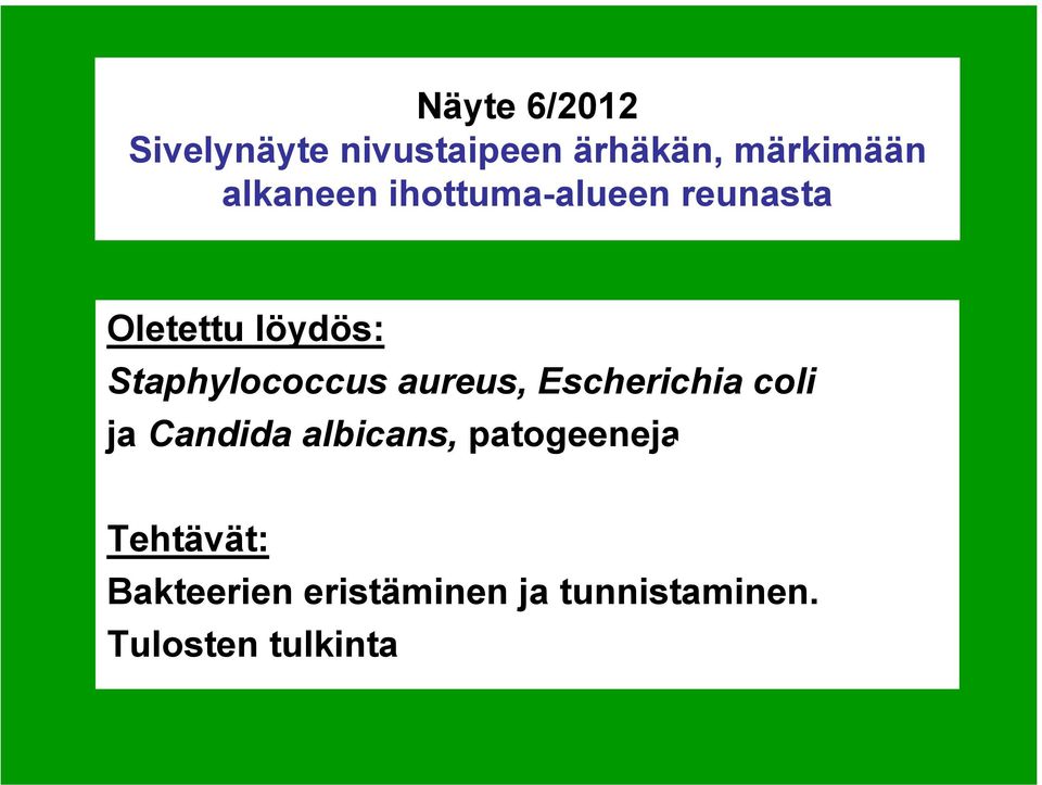 Staphylococcus aureus, Escherichia coli ja Candida albicans,