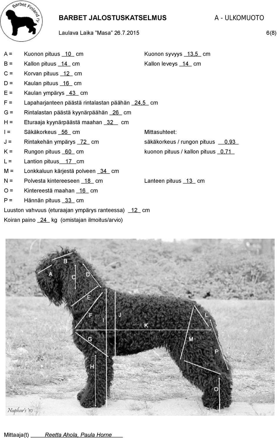 säkäkorkeus / rungon pituus K= Rungon pituus 60 cm kuonon pituus / kallon pituus 0,71 L= Lantion pituus M= Lonkkaluun kärjestä polveen 34 cm N= Polvesta kintereeseen 18 cm O= Kintereestä maahan