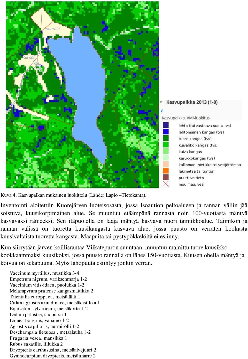 Taimikon ja rannan välissä on tuoretta kuusikangasta kasvava alue, jossa puusto on verraten kookasta kuusivaltaista tuoretta kangasta. Maapuita tai pystypökkelöitä ei esiinny.