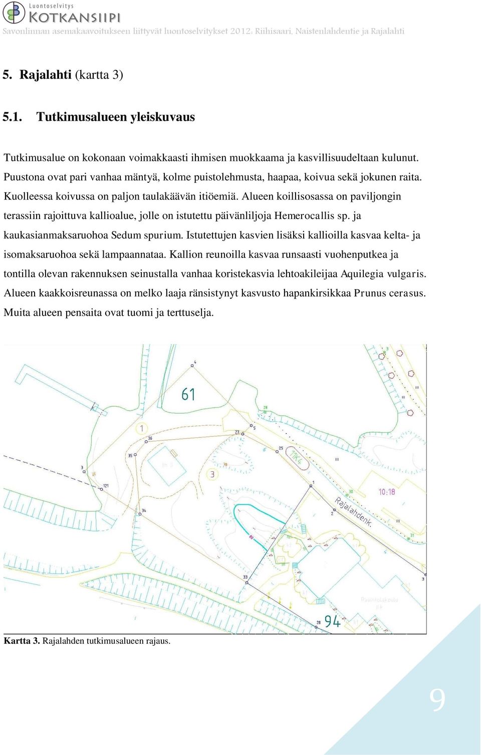 Alueen koillisosassa on paviljongin terassiin rajoittuva kallioalue, jolle on istutettu päivänliljoja Hemerocallis sp. ja kaukasianmaksaruohoa Sedum spurium.