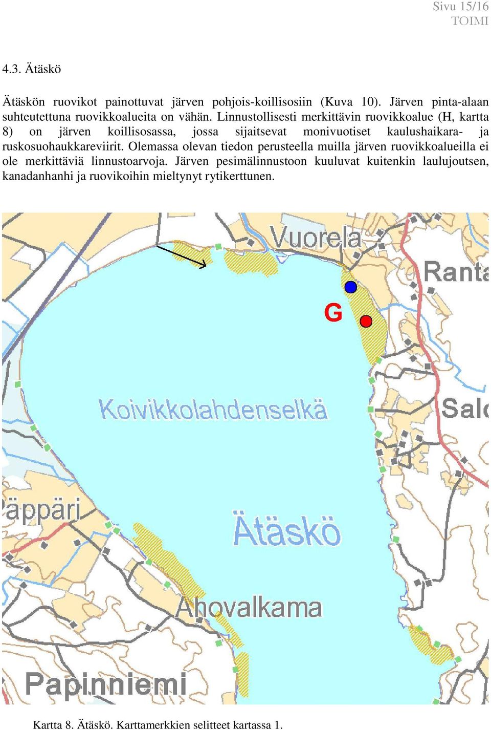 Linnustollisesti merkittävin ruovikkoalue (H, kartta 8) on järven koillisosassa, jossa sijaitsevat monivuotiset kaulushaikara- ja