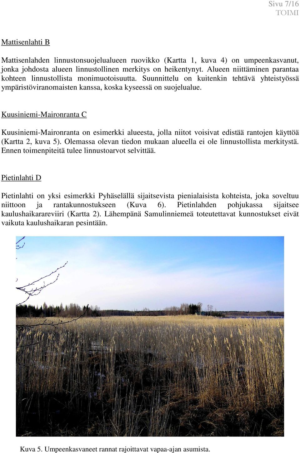 Kuusiniemi-Maironranta C Kuusiniemi-Maironranta on esimerkki alueesta, jolla niitot voisivat edistää rantojen käyttöä (Kartta 2, kuva 5).