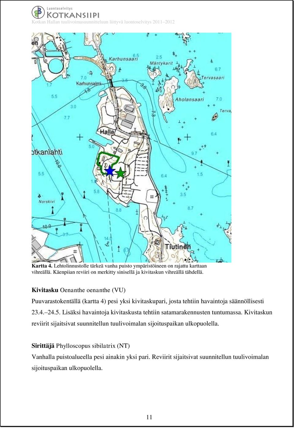 Kivitasku Oenanthe oenanthe (VU) Puuvarastokentällä (kartta 4) pesi yksi kivitaskupari, josta tehtiin havaintoja säännöllisesti 23.4. 24.5.