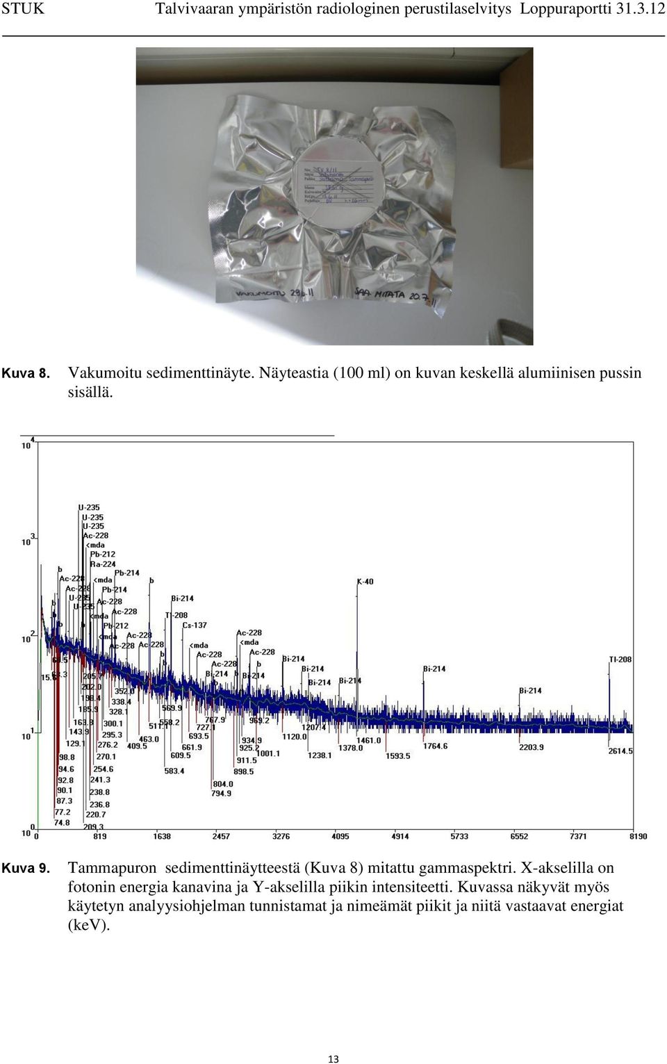 Tammapuron sedimenttinäytteestä (Kuva 8) mitattu gammaspektri.