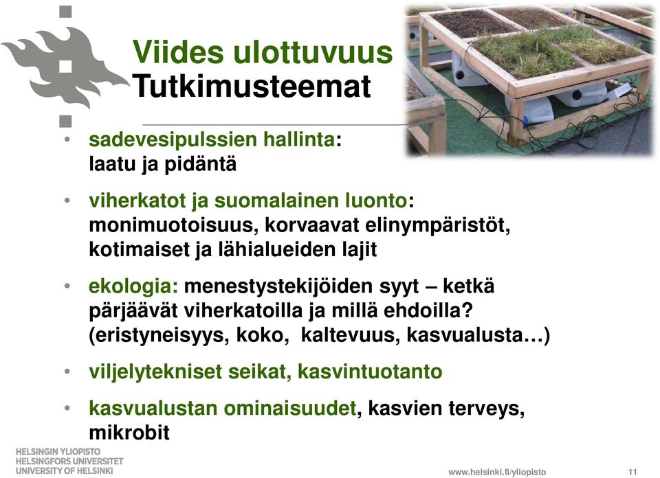 menestystekijöiden syyt ketkä pärjäävät viherkatoilla ja millä ehdoilla?