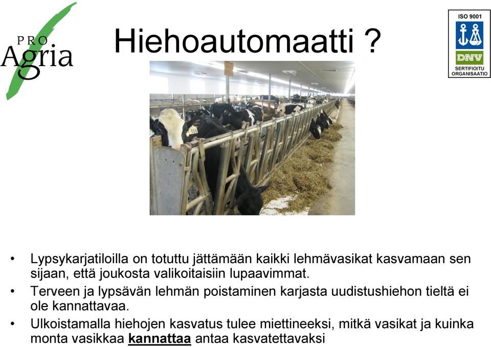 joukosta valikoitaisiin lupaavimmat.