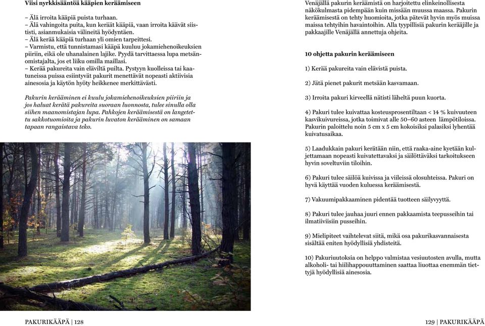 Pyydä tarvittaessa lupa metsänomistajalta, jos et liiku omilla maillasi. Kerää pakureita vain eläviltä puilta.