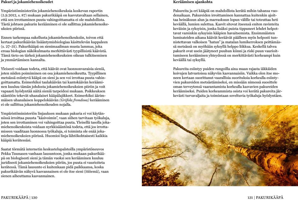 Ennen tarkempaa sukellusta jokamiehenoikeuksiin, toivon että kertaat pakurikäävän lisääntymisbiologiaa käsittelevän kappaleen (s. 27 31).
