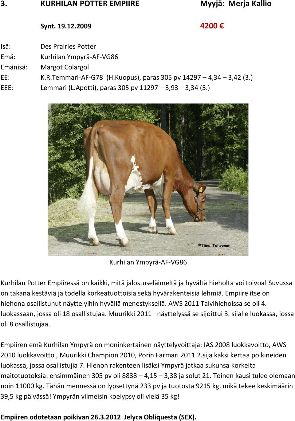 ) Kurhilan Ympyrä-AF-VG86 Kurhilan Potter Empiiressä on kaikki, mitä jalostuseläimeltä ja hyvältä hieholta voi toivoa!