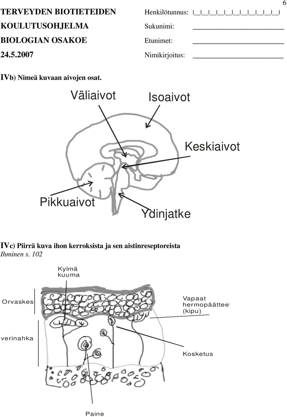 Piirrä kuva ihon kerroksista ja sen aistinreseptoreista