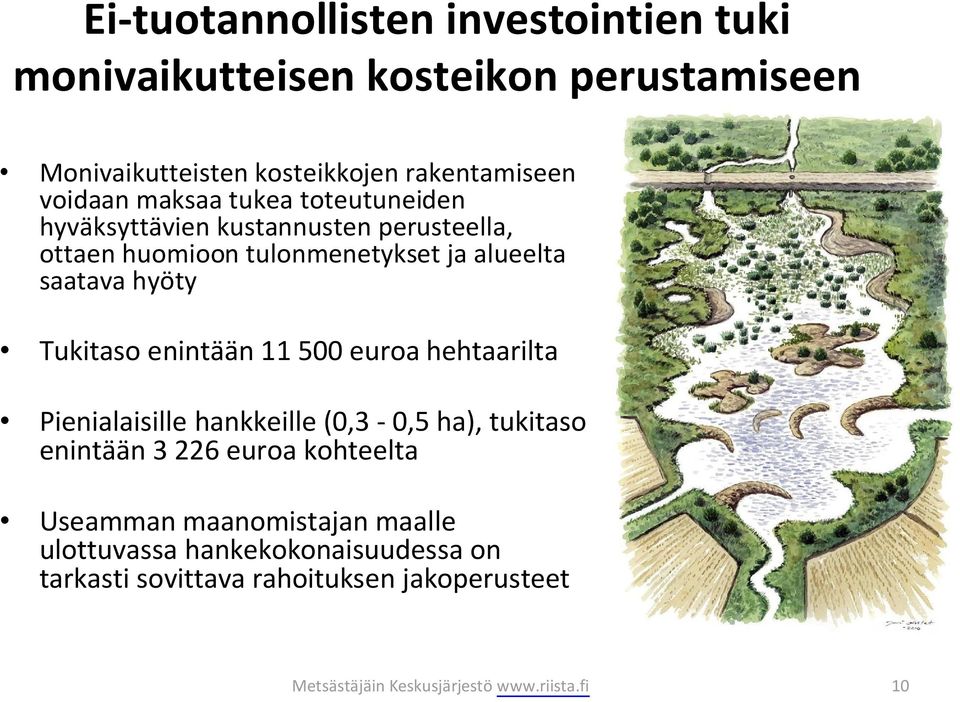 Tukitaso enintään 11 500 euroa hehtaarilta Pienialaisille hankkeille (0,3-0,5 ha), tukitaso enintään 3 226 euroa kohteelta Useamman