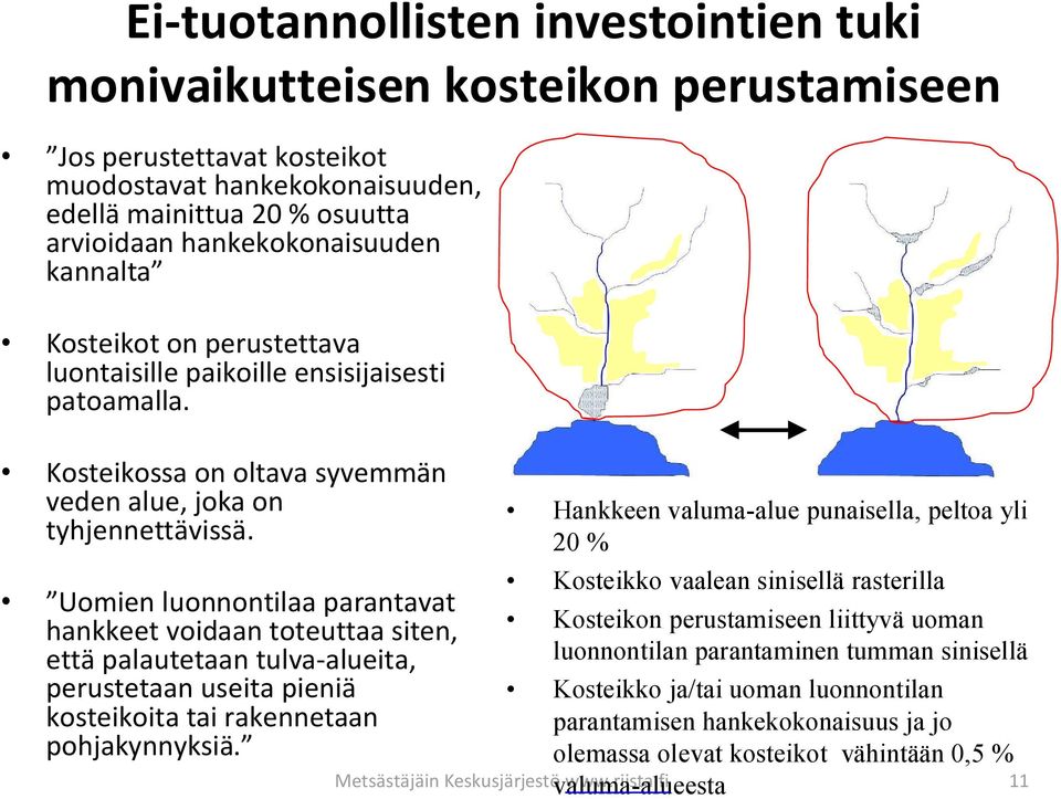 Uomien luonnontilaa parantavat hankkeet voidaan toteuttaa siten, että palautetaan tulva-alueita, perustetaan useita pieniä kosteikoita tai rakennetaan pohjakynnyksiä.