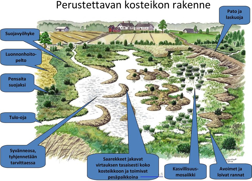 jakavat virtauksen tasaisesti koko kosteikkoon ja toimivat