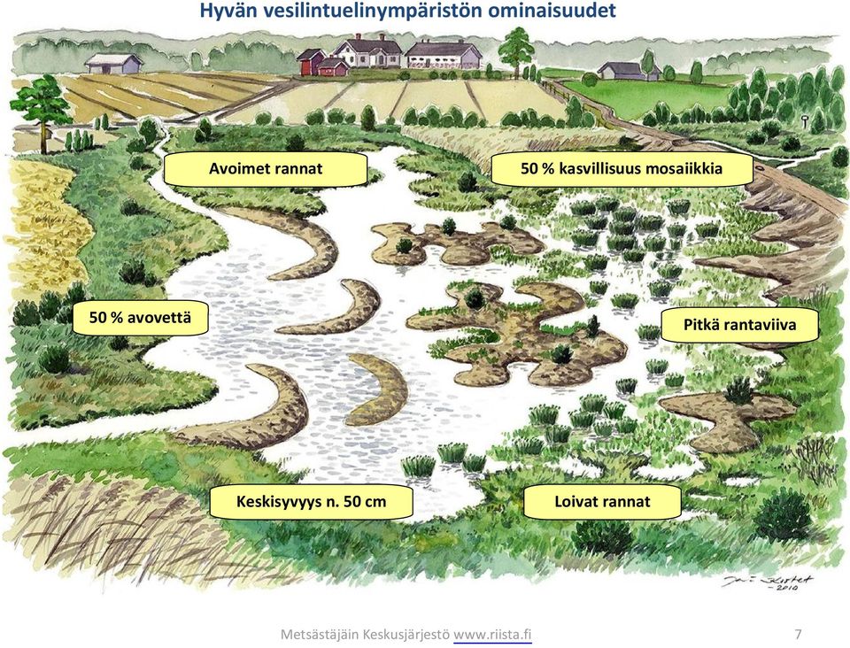 avovettä Pitkä rantaviiva Keskisyvyys n.