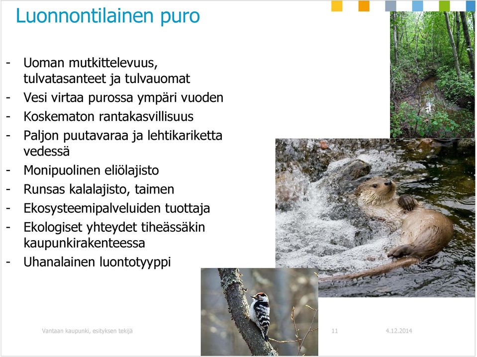 Monipuolinen eliölajisto - Runsas kalalajisto, taimen - Ekosysteemipalveluiden tuottaja -