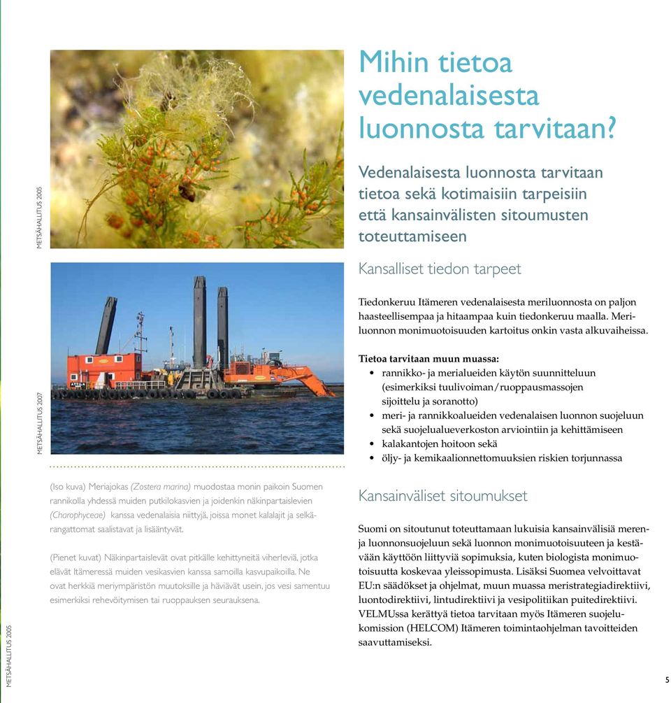 Itämeren vedenalaisesta meriluonnosta on paljon haasteellisempaa ja hitaampaa kuin tiedonkeruu maalla. Meriluonnon monimuotoisuuden kartoitus onkin vasta alkuvaiheissa.