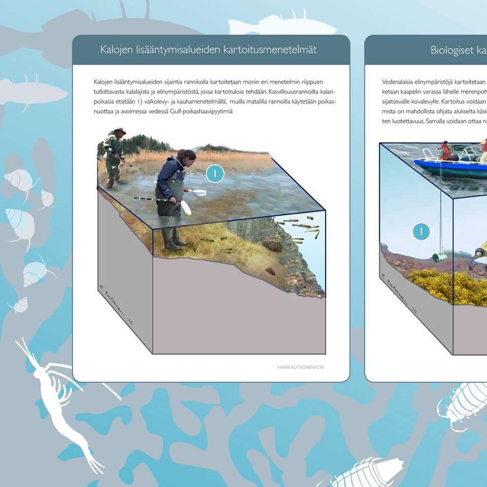 Kasvillisuusrannoilta kalanpoikasia etsitään 1) valkolevy- ja kauhamenetelmällä, muilla matalilla rannoilla käytetään poikasnuottaa ja avoimessa vedessä