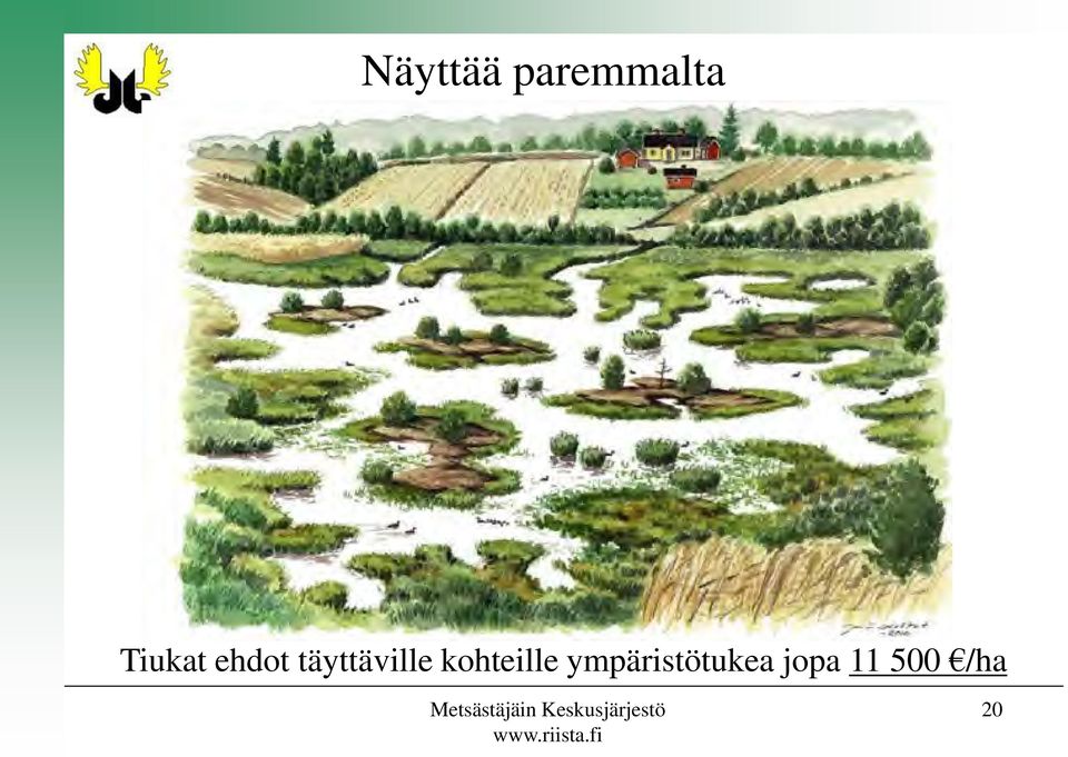 ympäristötukea jopa 11 500 /ha