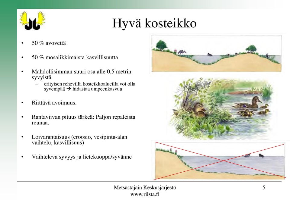 avoimuus. Rantaviivan pituus tärkeä: Paljon repaleista reunaa.