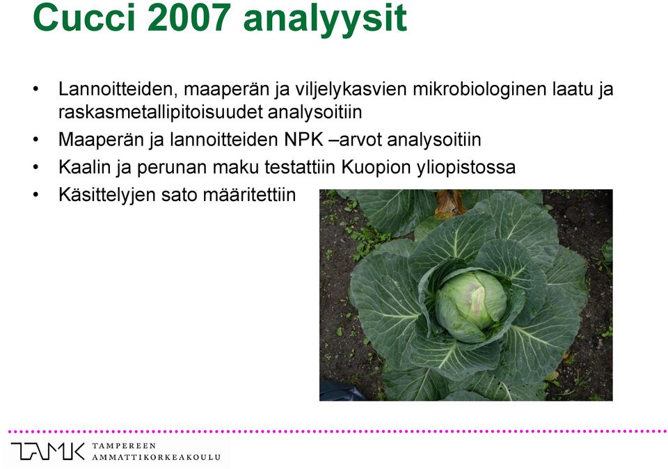 Maaperän ja lannoitteiden NPK arvot analysoitiin Kaalin ja