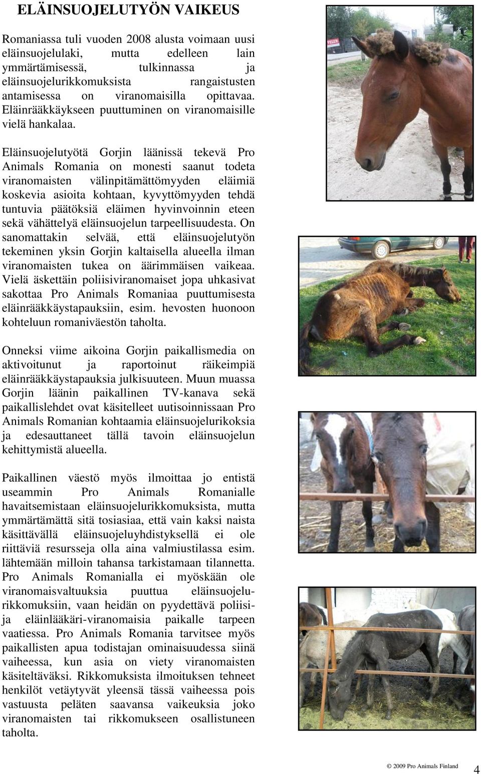 Eläinsuojelutyötä Gorjin läänissä tekevä Pro Animals Romania on monesti saanut todeta viranomaisten välinpitämättömyyden eläimiä koskevia asioita kohtaan, kyvyttömyyden tehdä tuntuvia päätöksiä