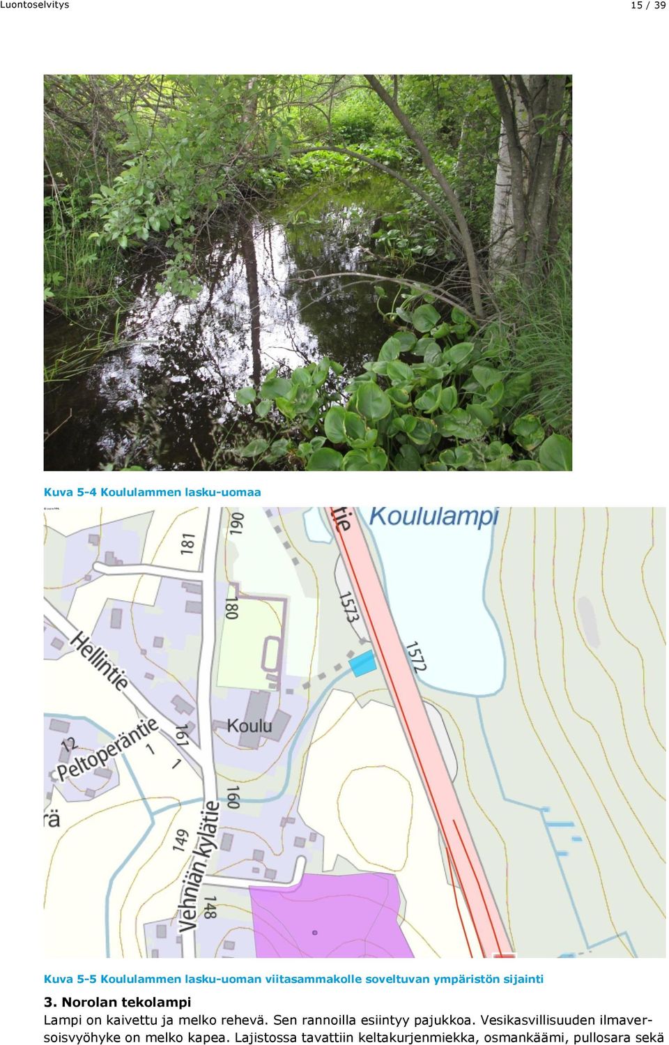 Norolan tekolampi Lampi on kaivettu ja melko rehevä. Sen rannoilla esiintyy pajukkoa.