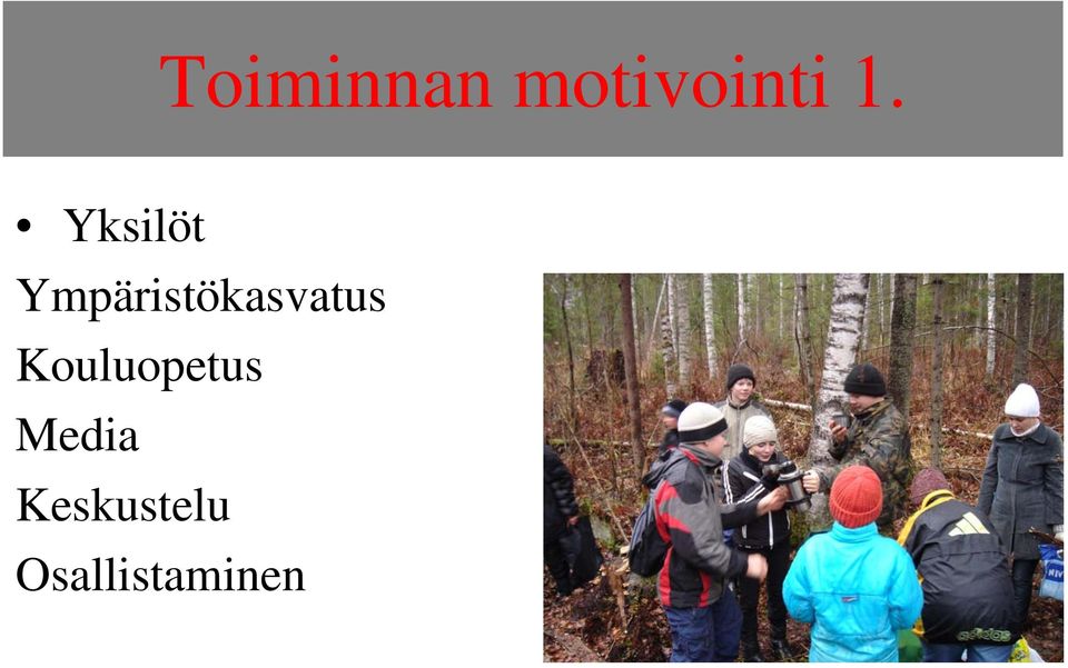 Ympäristökasvatus