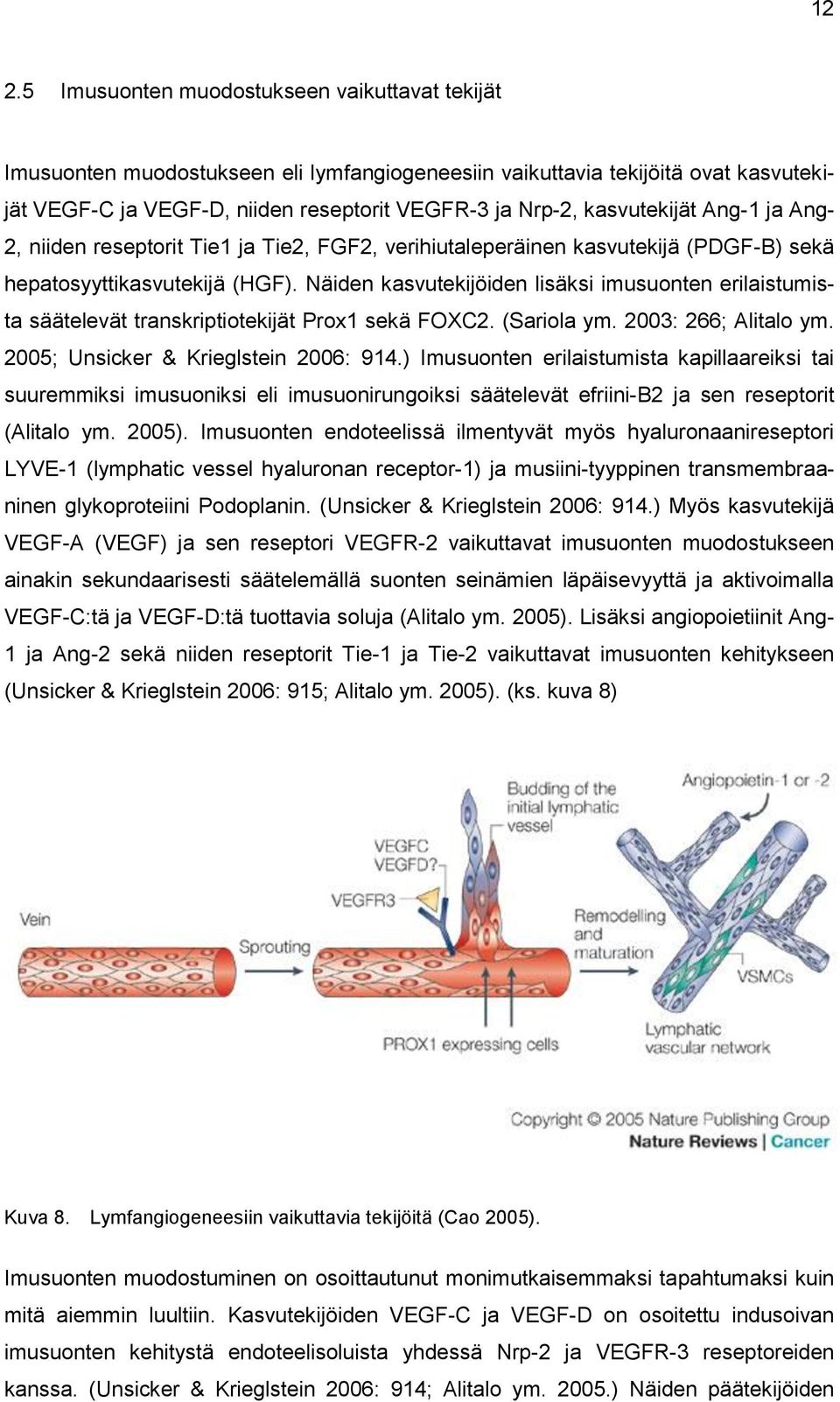 Näiden kasvutekijöiden lisäksi imusuonten erilaistumista säätelevät transkriptiotekijät Prox1 sekä FOXC2. (Sariola ym. 2003: 266; Alitalo ym. 2005; Unsicker & Krieglstein 2006: 914.