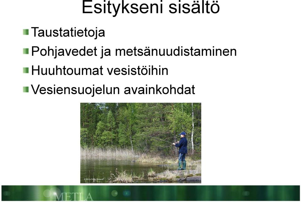 metsänuudistaminen