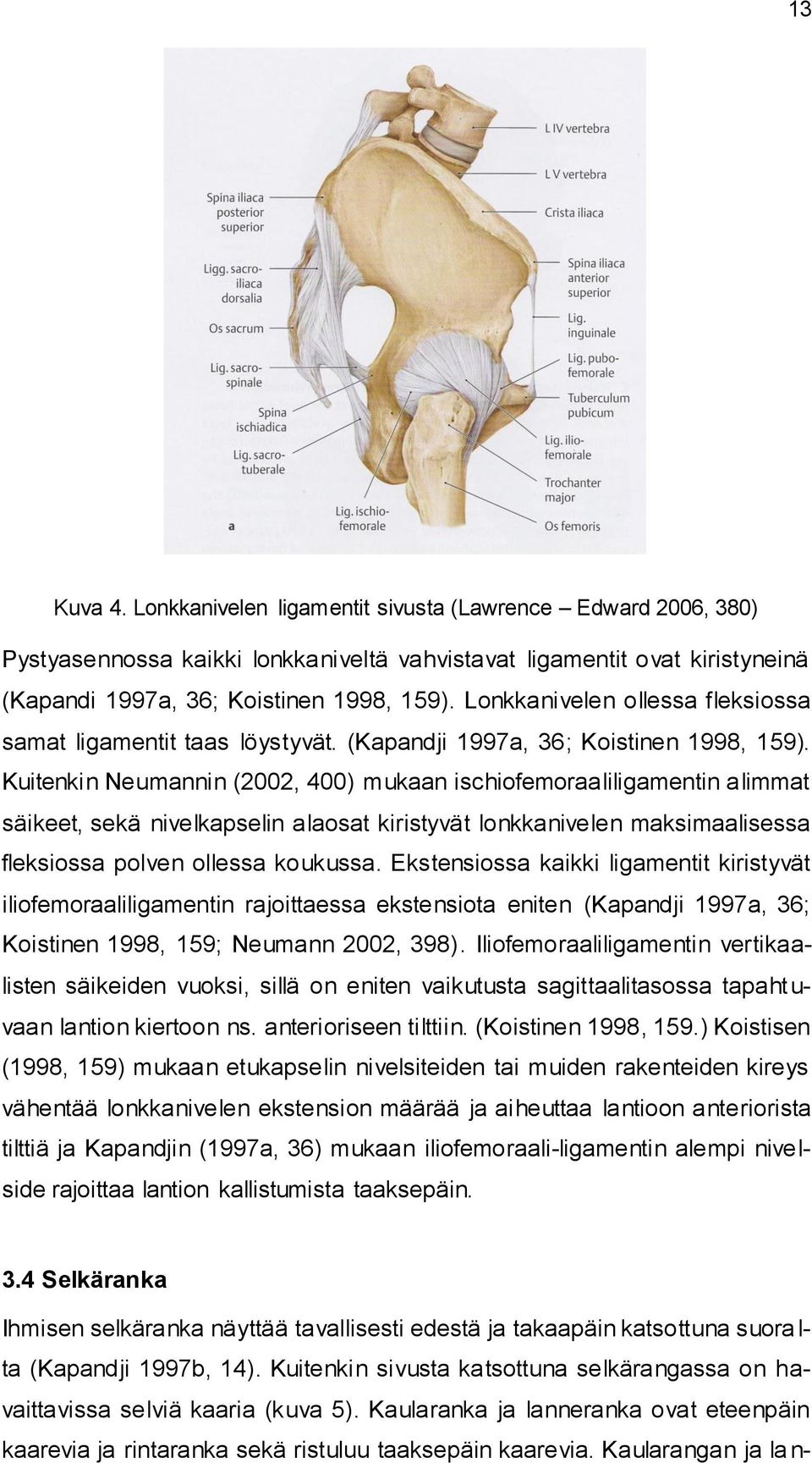 Kuitenkin Neumannin (2002, 400) mukaan ischiofemoraaliligamentin alimmat säikeet, sekä nivelkapselin alaosat kiristyvät lonkkanivelen maksimaalisessa fleksiossa polven ollessa koukussa.