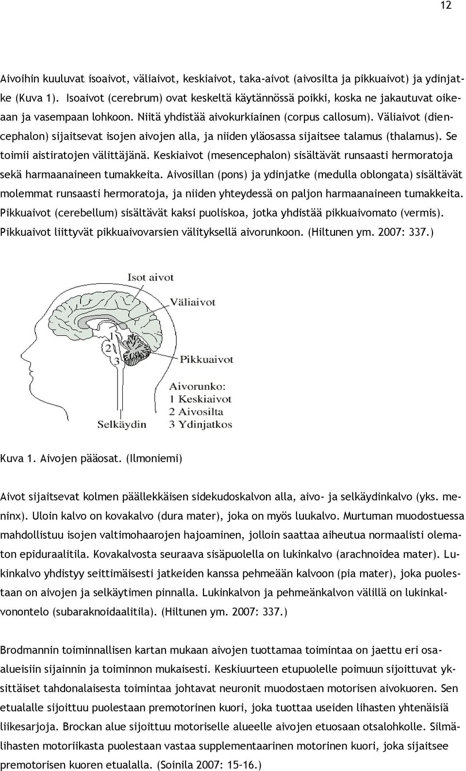 Väliaivot (diencephalon) sijaitsevat isojen aivojen alla, ja niiden yläosassa sijaitsee talamus (thalamus). Se toimii aistiratojen välittäjänä.