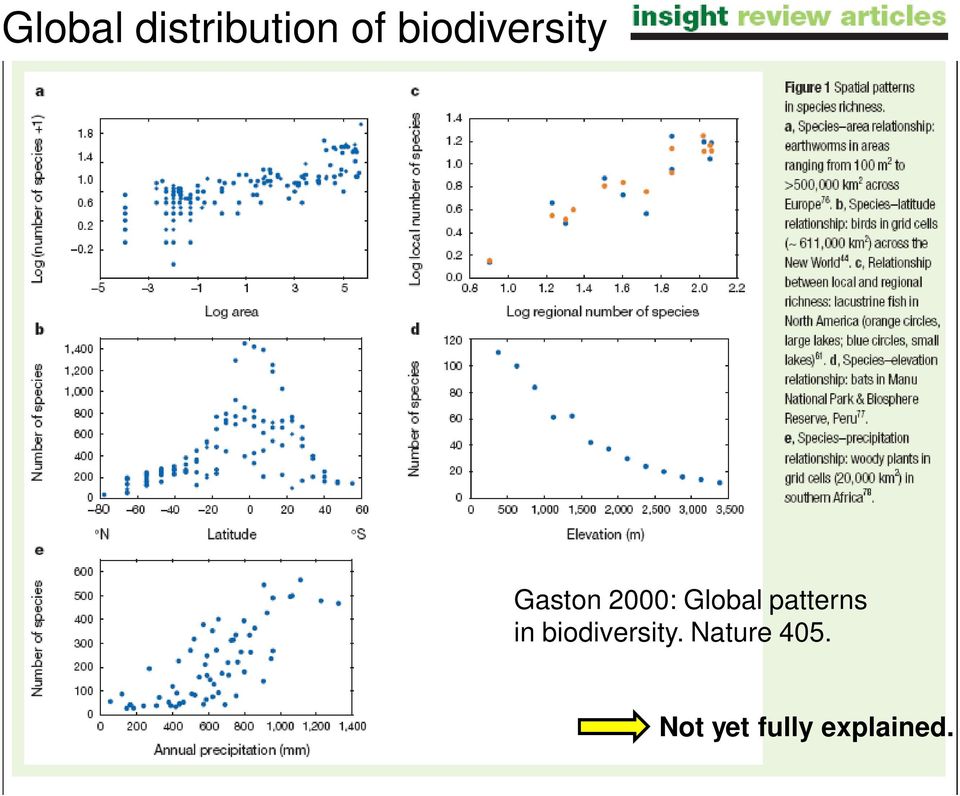 Global patterns in