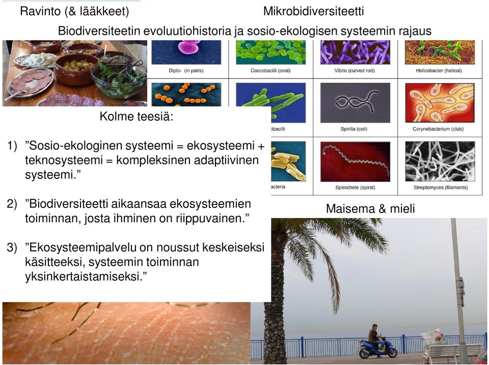 2) Biodiversiteetti Biodiversiteettivektorit aikaansaa & zoonoosit ekosysteemien toiminnan, josta ihminen on