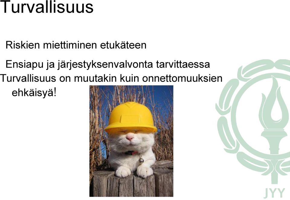 järjestyksenvalvonta tarvittaessa